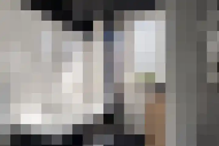 Kruipbrem 54 Rotterdam thumbnail 25