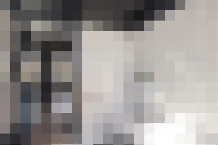 Kruipbrem 54 Rotterdam thumbnail 26