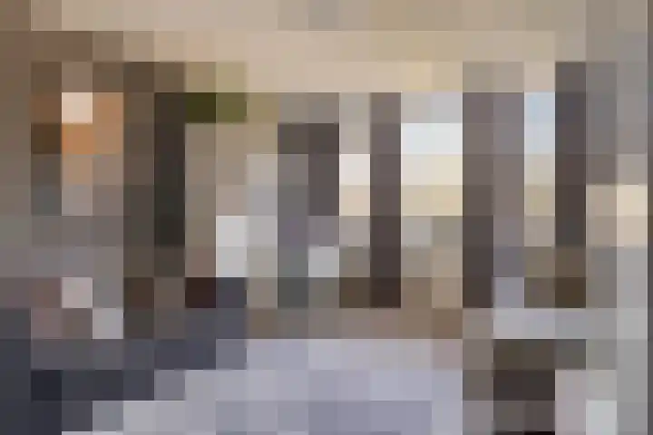 Kruipbrem 54 Rotterdam thumbnail 28