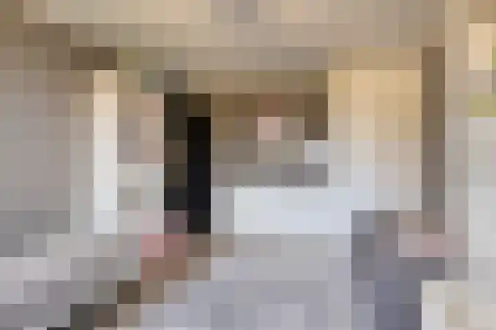 Kruipbrem 54 Rotterdam thumbnail 29