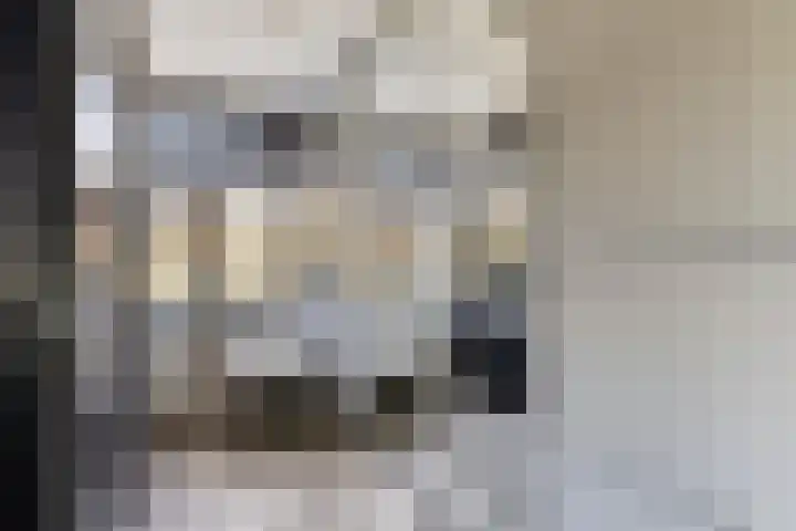 Kruipbrem 54 Rotterdam thumbnail 30
