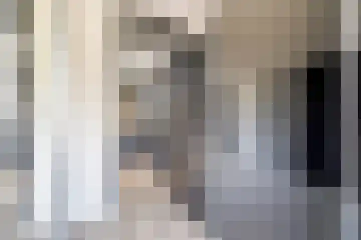Kruipbrem 54 Rotterdam thumbnail 31