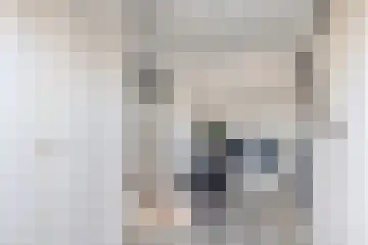 Kruipbrem 54 Rotterdam thumbnail 33