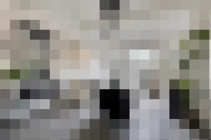 Kruipbrem 54 Rotterdam thumbnail 35