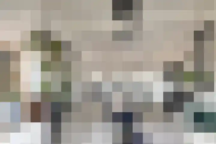 Kruipbrem 54 Rotterdam thumbnail 36