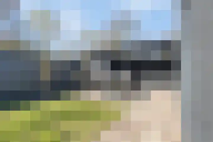Kruipbrem 54 Rotterdam thumbnail 37