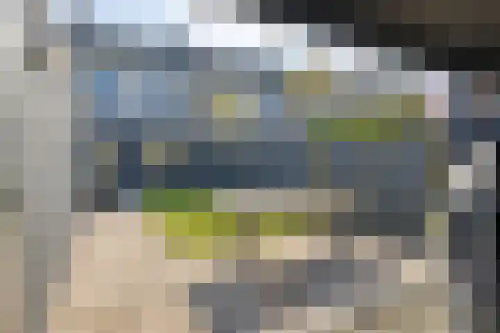 Kruipbrem 54 Rotterdam thumbnail 38