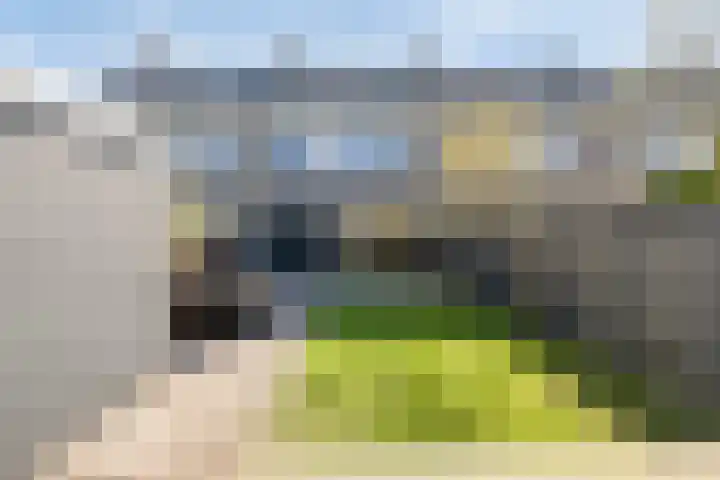 Kruipbrem 54 Rotterdam thumbnail 39