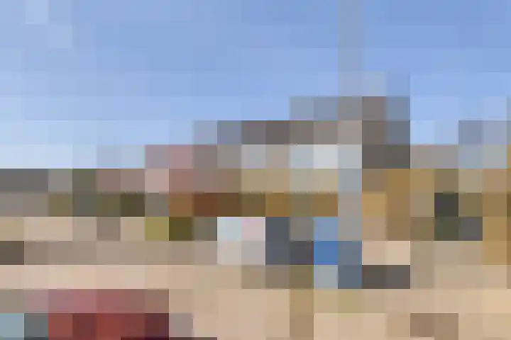 Kruipbrem 54 Rotterdam thumbnail 42