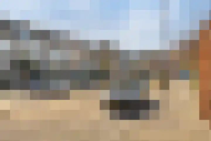 Kruipbrem 54 Rotterdam thumbnail 43