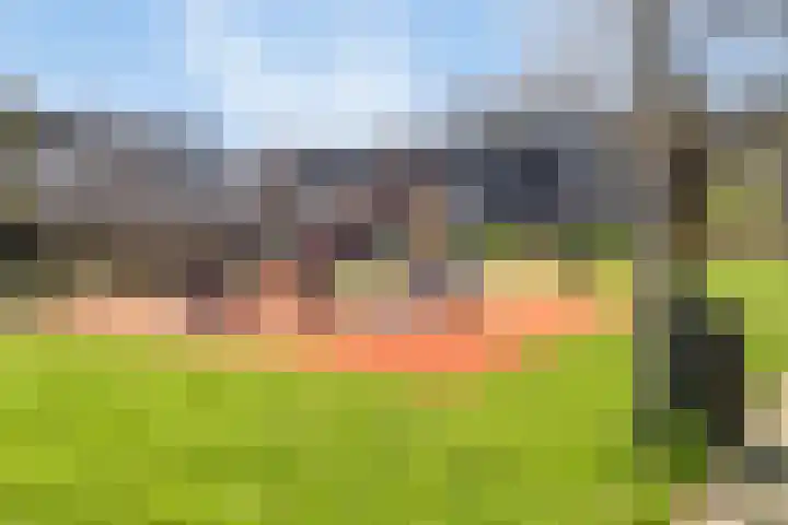 Kruipbrem 54 Rotterdam thumbnail 44