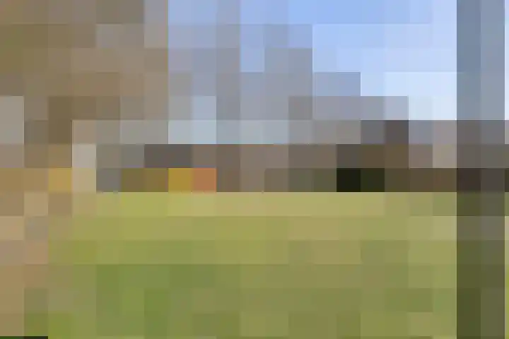 Kruipbrem 54 Rotterdam thumbnail 46