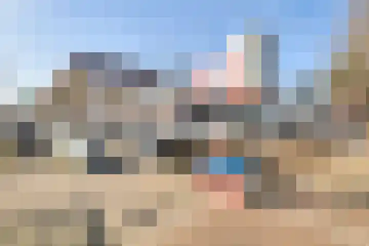 Kruipbrem 54 Rotterdam thumbnail 47