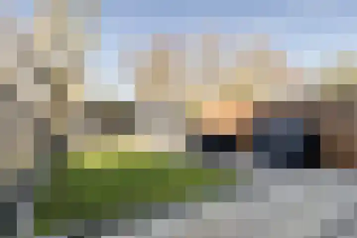 Kruipbrem 54 Rotterdam thumbnail 5