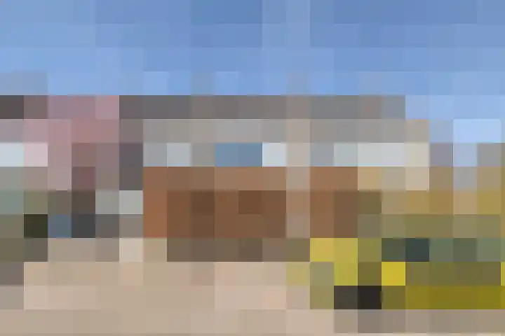 Kruipbrem 54 Rotterdam thumbnail 6
