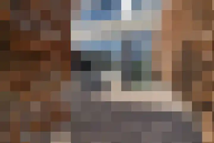Kruipbrem 54 Rotterdam thumbnail 7