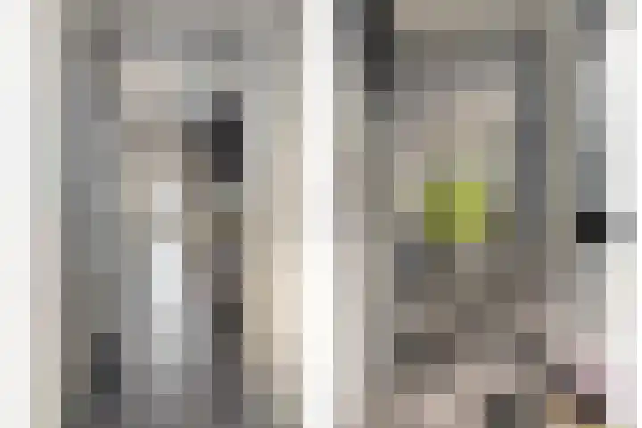 Kruipbrem 54 Rotterdam thumbnail 9