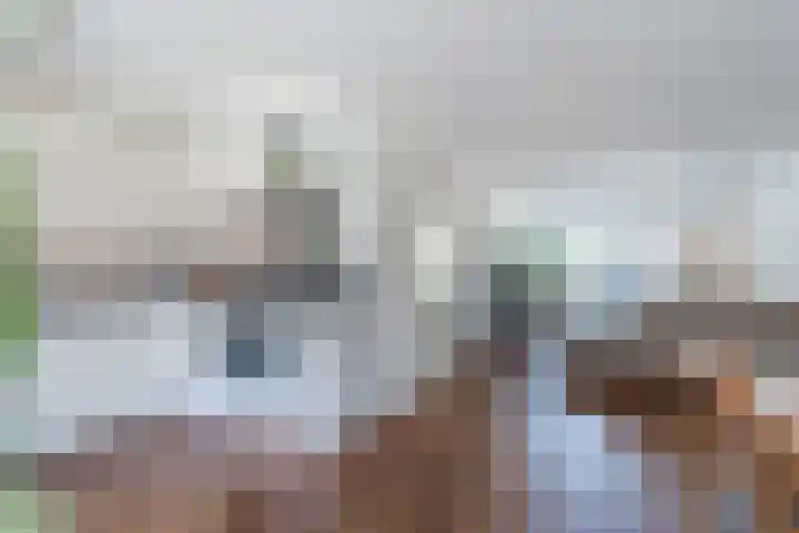 Kruipeind 28 Best thumbnail 20