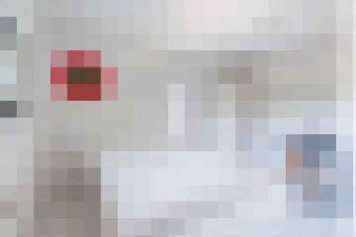 Kruipeind 28 Best thumbnail 36