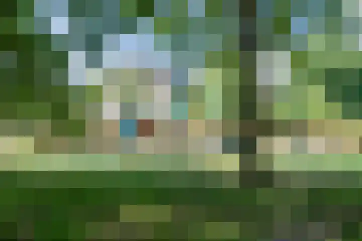 Kruipeind 28 Best thumbnail 45