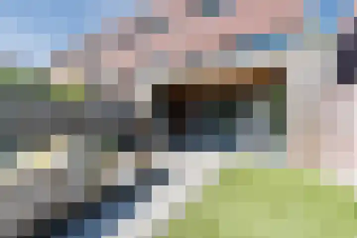 Kruipeind 28 Best thumbnail 6