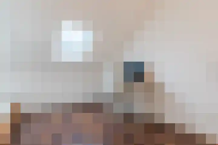 Kruipheide 25 Helmond thumbnail 37