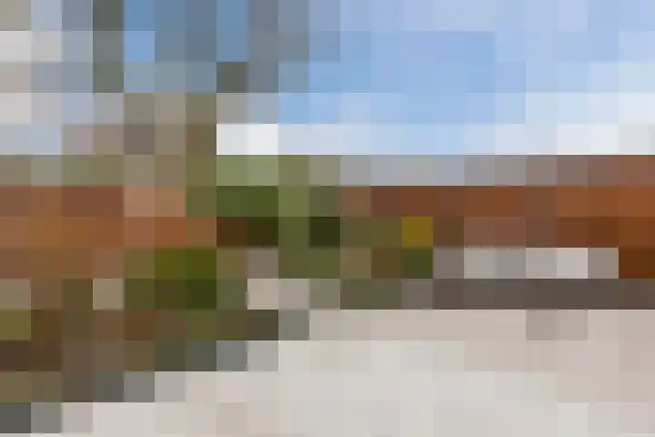 Kruipheide 25 Helmond thumbnail 40