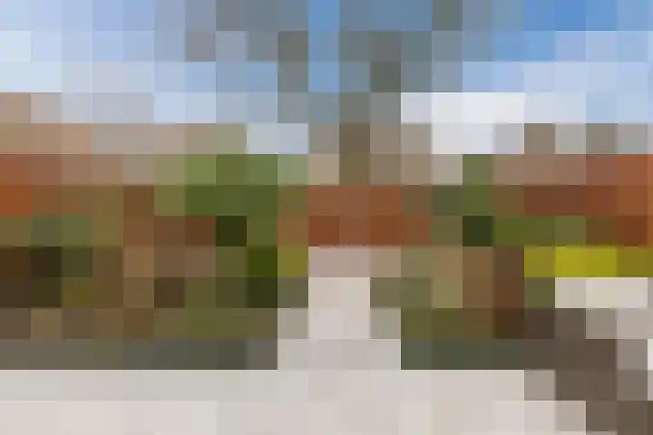 Kruipheide 25 Helmond thumbnail 41