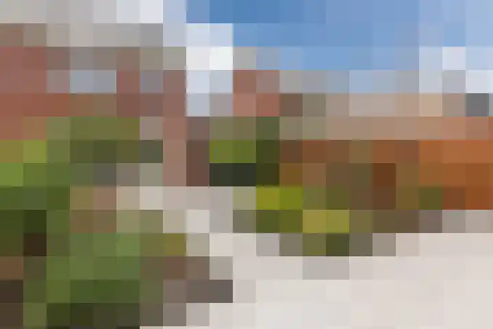 Kruipheide 25 Helmond thumbnail 42