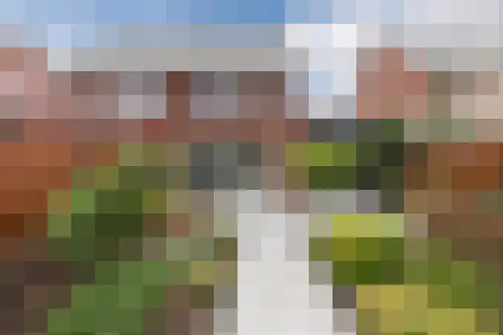 Kruipheide 25 Helmond thumbnail 43