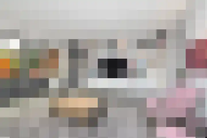 Kruipheide 5 Helmond thumbnail 15