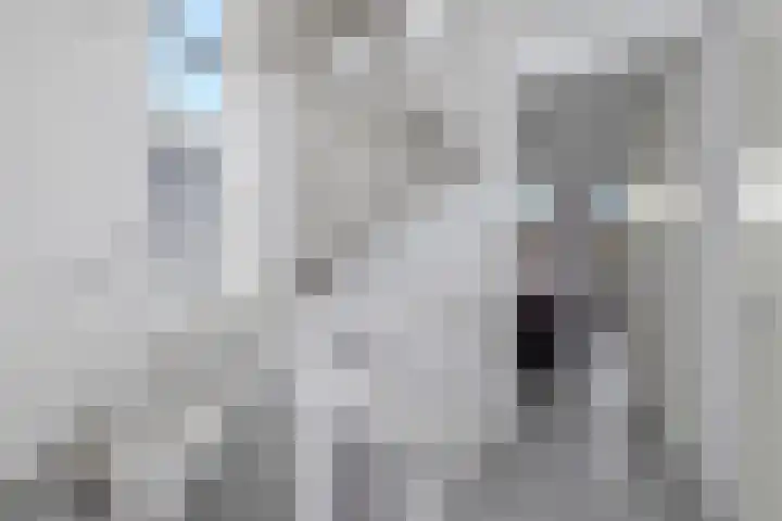 Kruipheide 5 Helmond thumbnail 23