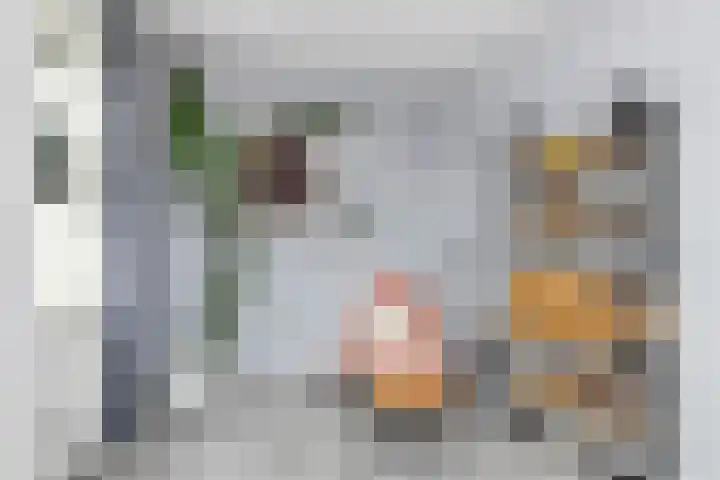 Kruipheide 5 Helmond thumbnail 31