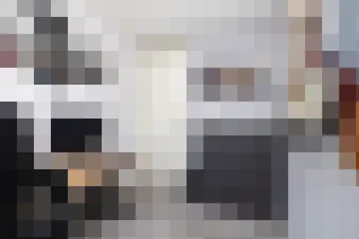 Kruipheide 5 Helmond thumbnail 37