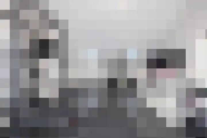 Kruipheide 5 Helmond thumbnail 39