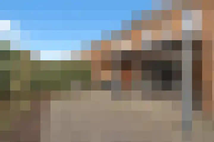 Kruipheide 5 Helmond thumbnail 42