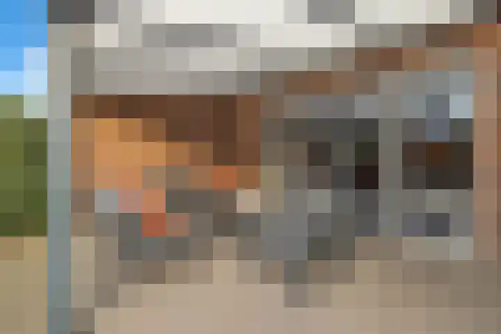 Kruipheide 5 Helmond thumbnail 44