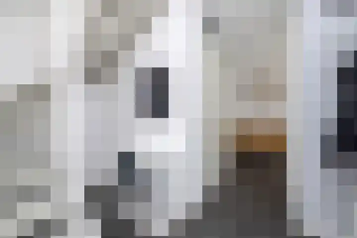 Kruipheide 5 Helmond thumbnail 9
