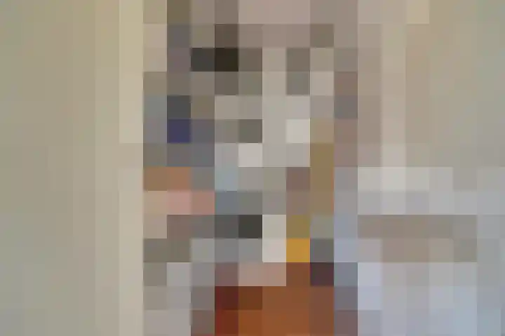 Kruipwilg 10 Goirle thumbnail 19