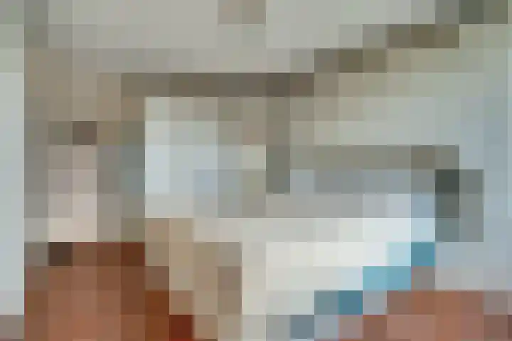 Kruipwilg 10 Goirle thumbnail 21