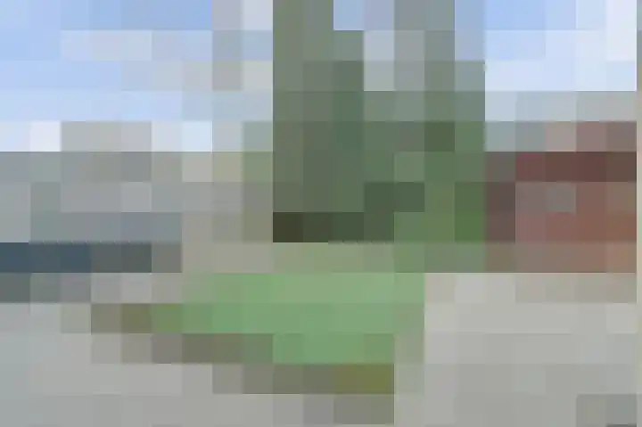 Kruipwilg 10 Goirle thumbnail 27
