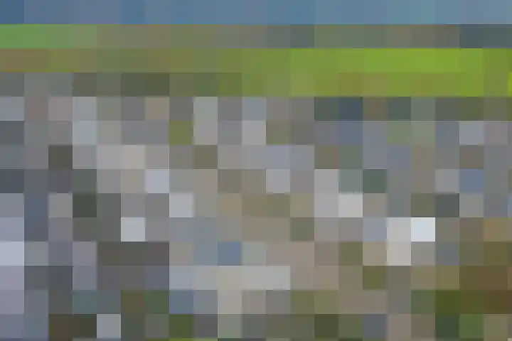 Kruipwilg 10 Goirle thumbnail 32