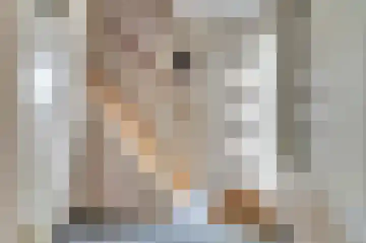 Kruipwilg 10 Goirle thumbnail 4