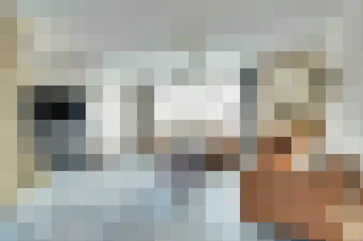 Kruipwilg 10 Goirle thumbnail 5