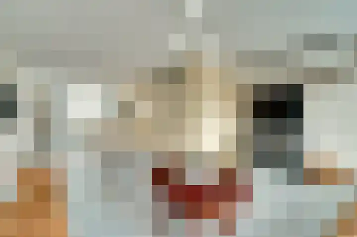 Kruipwilg 10 Goirle thumbnail 6