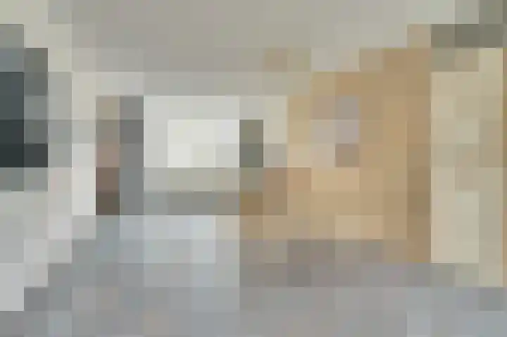 Kruipwilg 10 Goirle thumbnail 8