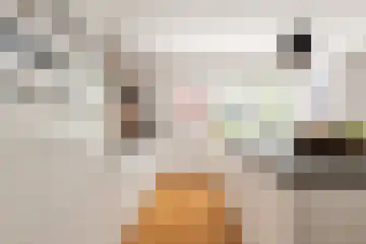 Kruipwilg 30 Heemskerk thumbnail 10