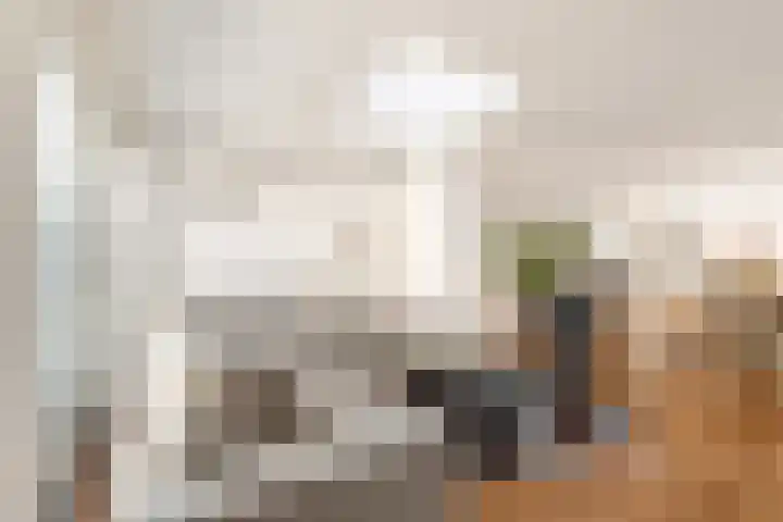 Kruipwilg 30 Heemskerk thumbnail 4