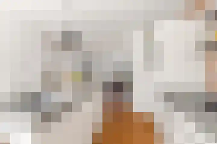 Kruipwilg 30 Heemskerk thumbnail 9