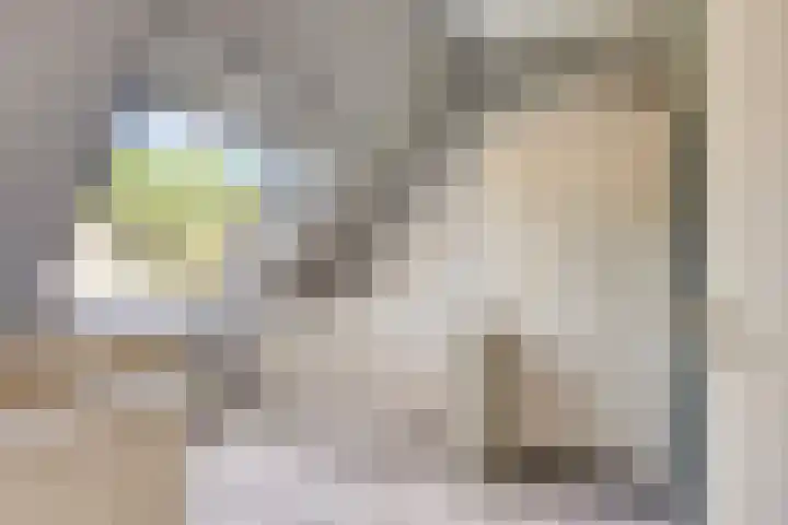 Kruipwilg 32 Heemskerk thumbnail 15